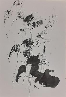 disegni1 (12)